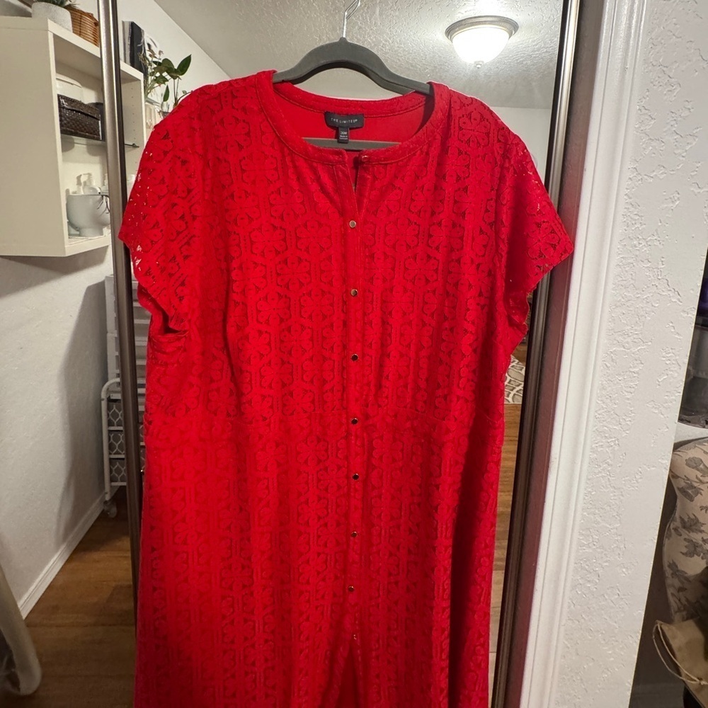 The Limited Lace Red Button-Down Dress
